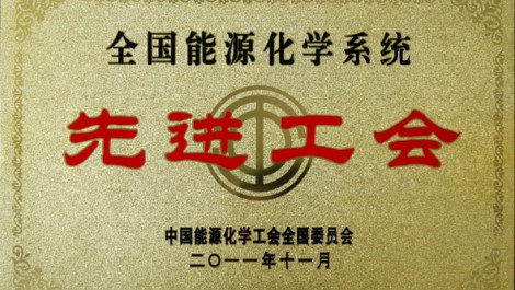 集團(tuán)公司工會被授予全國能源化學(xué)系統(tǒng)先進(jìn)工會榮譽稱號